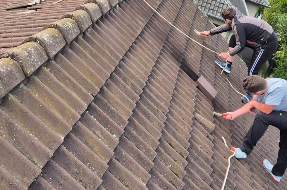 Deux couvreurs encordés brossent un toit de tuiles couvert de mousse