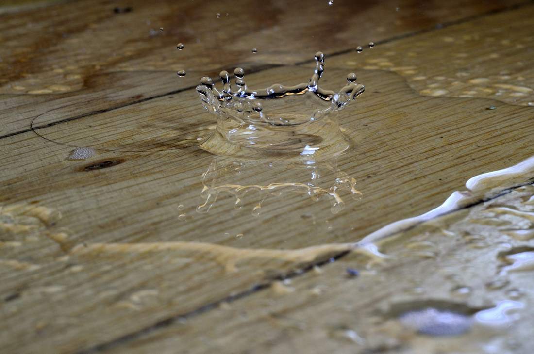 Goutte d'eau sur le bois : l'infiltration qui entretient l'attaque