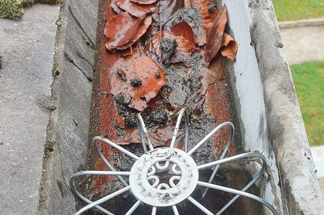 Gouttière encombrée de mousse et de débris, à dégager en fin de chantier