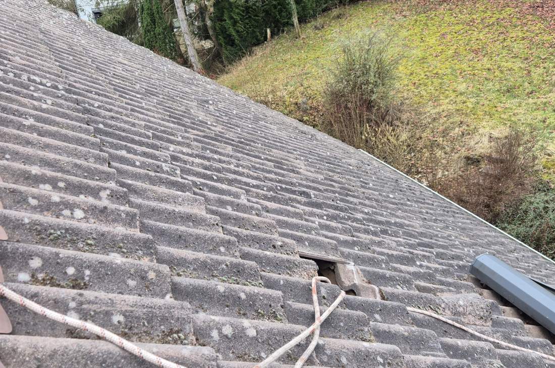 Versant en cours de démoussage, corde de sécurité en place